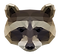 mapache geométrica