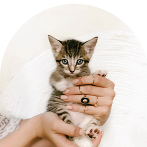 WAYS TO KEEP YOUR PET SAFE WHILE TRAVELING