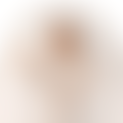 THE 2021 HOLIDAY GIFT GUIDE