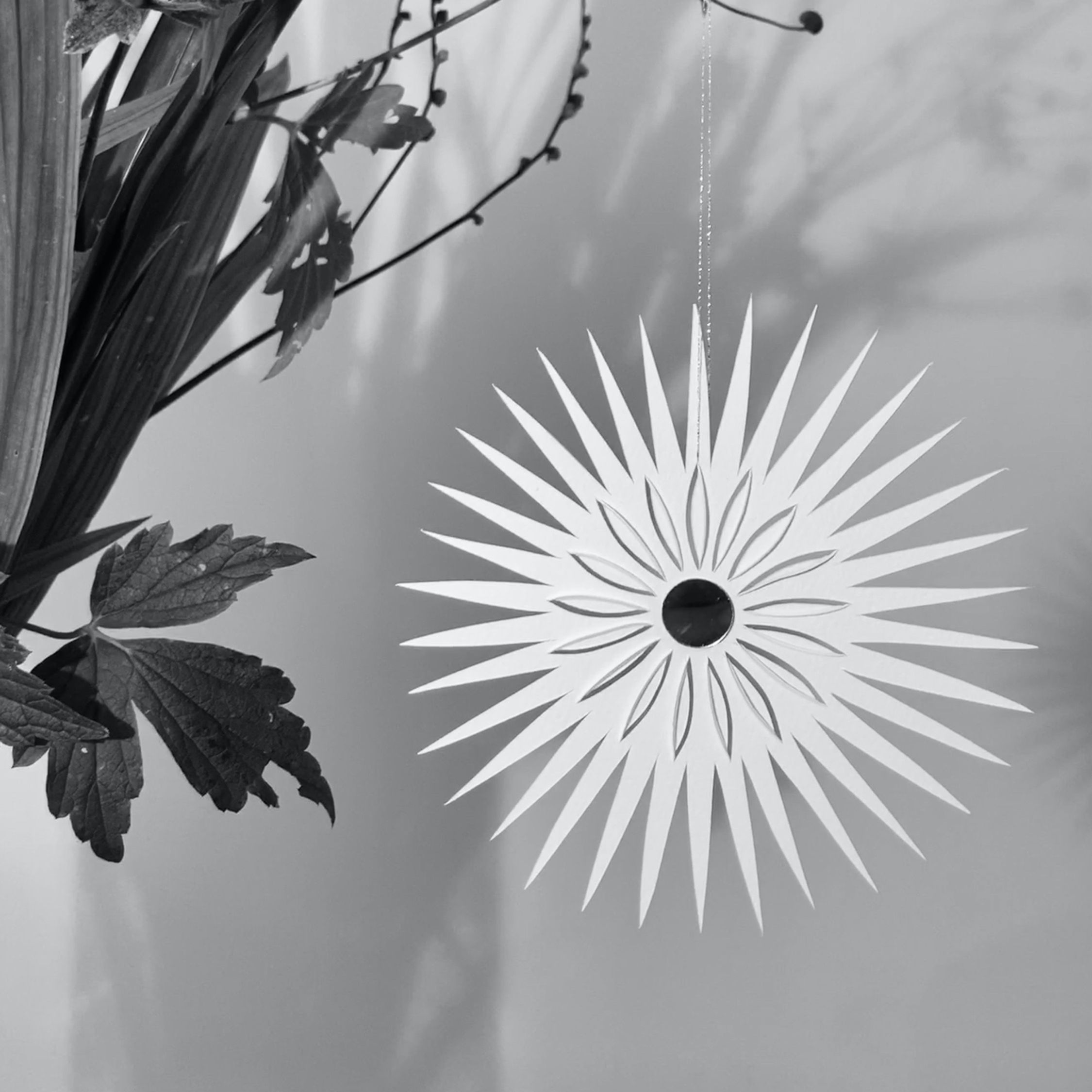 Holzhauser Sonne, 14 cm