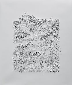 Waldgrundstück - Lebenshöhepunkt