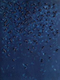 Bellmann - cyanotype and knife drawing of falling leaves