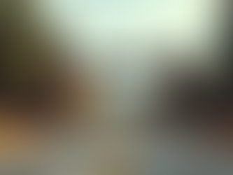 How the Government Shutdown Impacts Travel Plans and Industry Dynamics