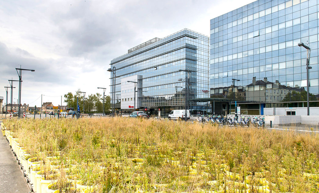 R0705 -Rennes - 05.jpg