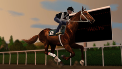 NewYorkMinuteGallop