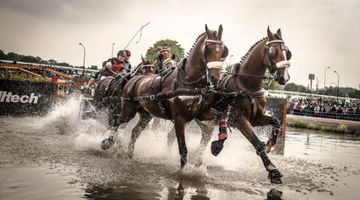 Fotógrafo especializado em cavalos fará cobertura de hipismo no Rio