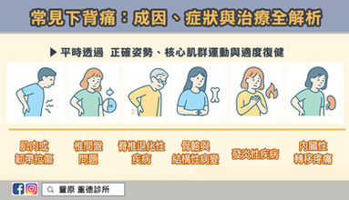 常見 下背痛:成因、症狀與治療全解析