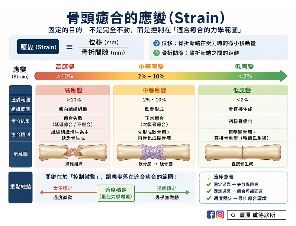 骨頭癒合的應變機制 | 重德診所