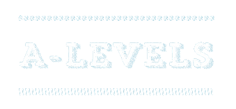 image-removebg-preview (1).png