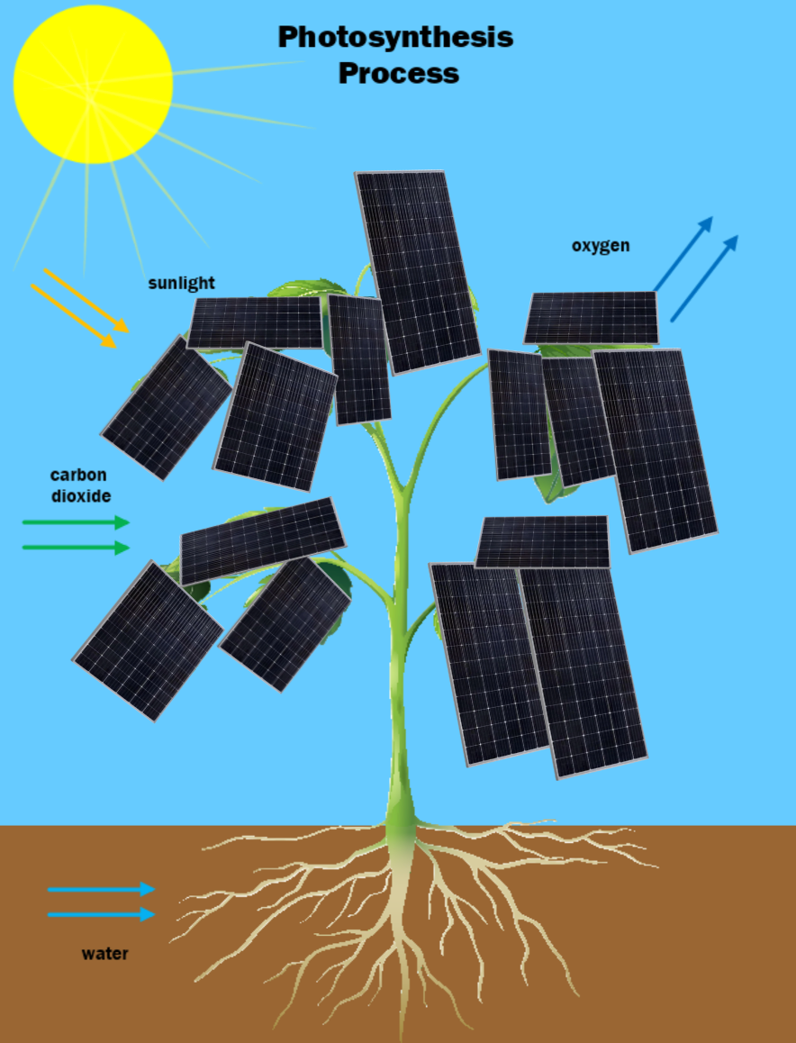 Solar panels