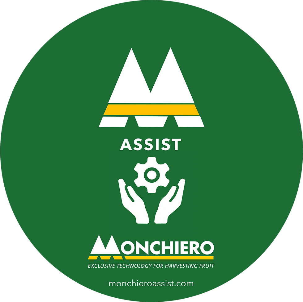 Monchiero Assist