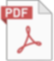PDF