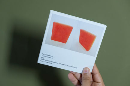 Foto: Incrustado IV, 2017.