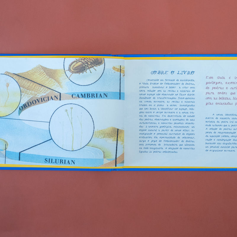 Foto: REGINATO, Gustavo. Guia prático do colecionador de pedras. Concórdia: Caseira, 2016.