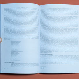 Foto: MILAN, Denise & MATOS, Olgária [org.]. Gemmes de la Terre: imagination esthétique et hospitalité. São Paulo: SESC, 2010.