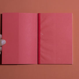 Foto: GRIMALDI, Maura [org.]. Elucidário ou um nome para isso. Lisboa: Galeria Diferença, 2024.