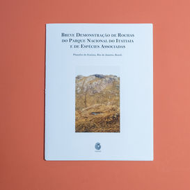 Foto: SCHRÖPEL, Daiana. Breve demonstração de rochas do Parque Nacional do Itatiaia e de espécies associadas. Porto Alegre: IAAIAI – Setor de difusão, 2022.