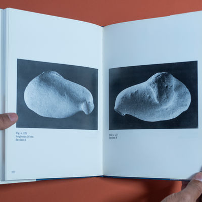 Foto: LINERI, Luigi. Adige: un fiume di memorie. Zevio: Pierluigi Perosini, 1993.