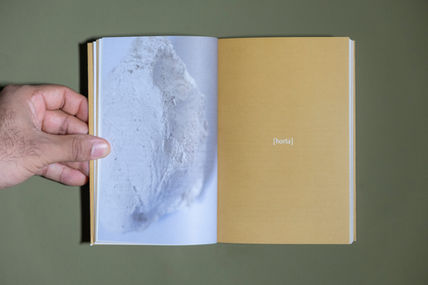 Foto: Timo, 2023.