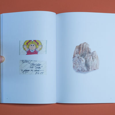 Foto: THOMPSON, Ryan & ORR, Phil. Bad Luck, Hot Rocks: Conscience Letter and Photographs from the Petrified Forest. Los Angeles: Ice Plant, 2014.