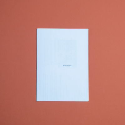 Foto: COLETIVO ÁGUA PARA CAVALOS [Diego Passos & Juliano Ventura]. Monumento. Porto Alegre: Edições Água para cavalos, 2013-2020.