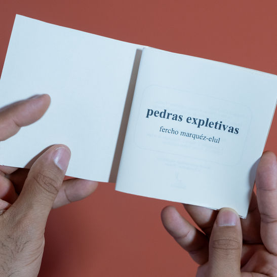 Foto: MARQUÉZ-ELUL, Fercho. Pedras expletivas / Pedres expletives. Porto Alegre: Huracay, 2025.
