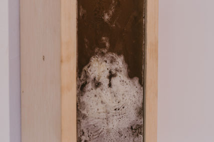 Foto: Ventanias e inundações, 2017