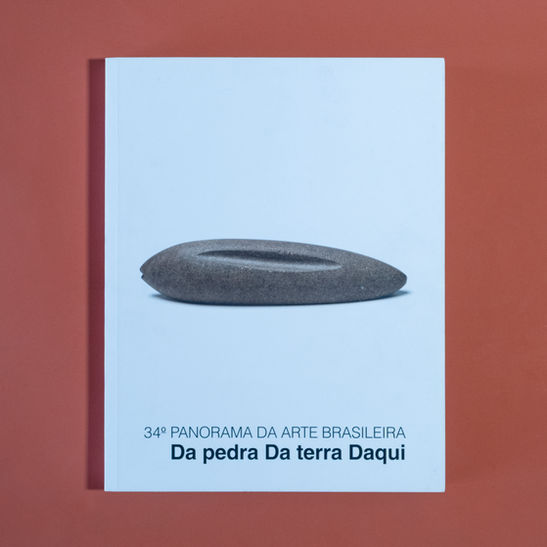 Foto: AMARAL, Aracy [org.]. 34º Panorama da arte brasileira: da pedra da terra daqui. São Paulo: Museu de Arte Moderna, 2015.