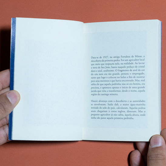 Foto: RAMOS, Ícaro Moreno & SÁ, Gabriela [Duo :grão]. Arqueologias do imaginário. Belo Horizonte: edição dos artistas, 2021.