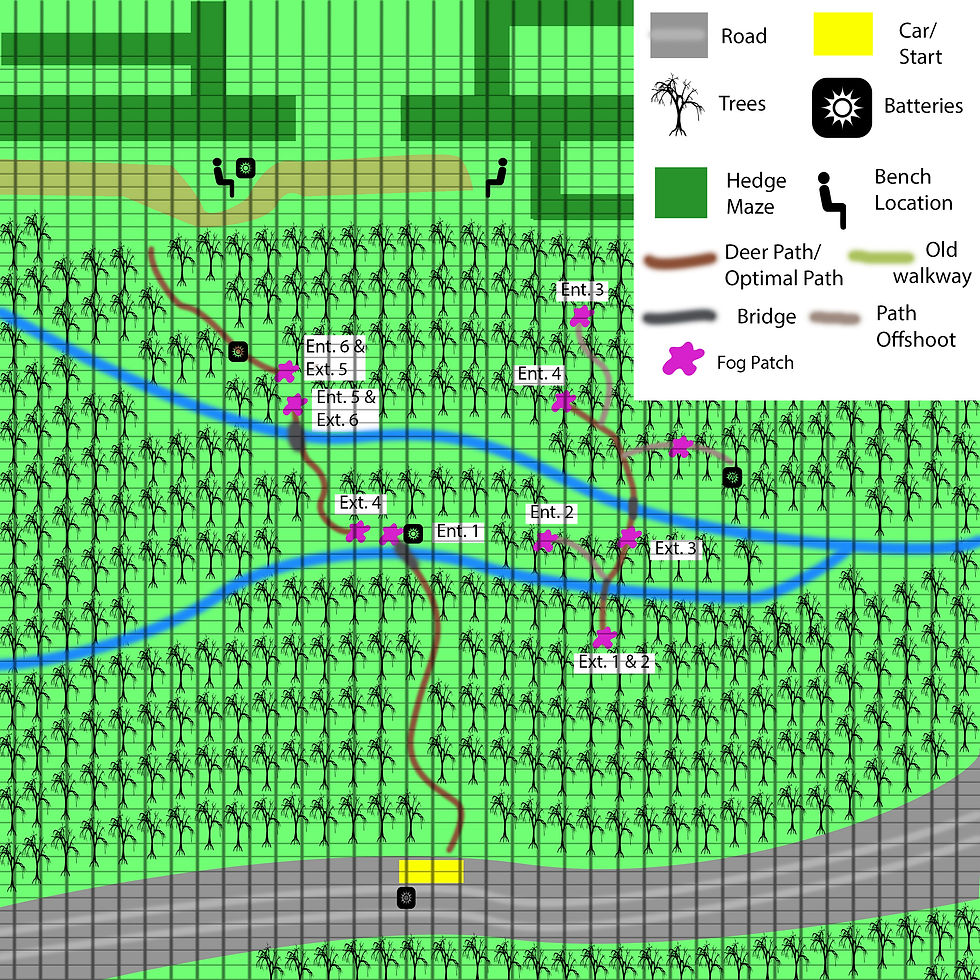 Forest Paper Map