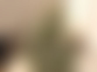 クリスマスツリー🎄