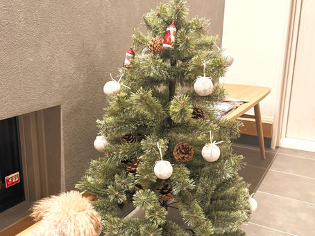クリスマスツリー🎄