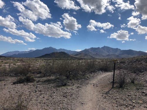 Wide-angle view of a runner climbing a desert road near the Franklin Mountains.