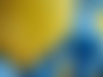 Субмодальності це