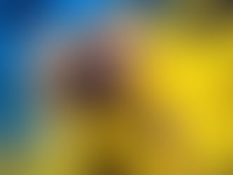 Яворазум це