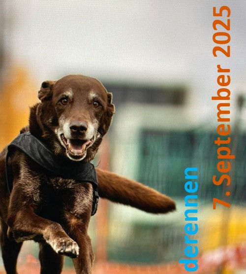 Hunderennen