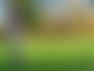 Youth Development: Faith in Actions, Results in Sight.