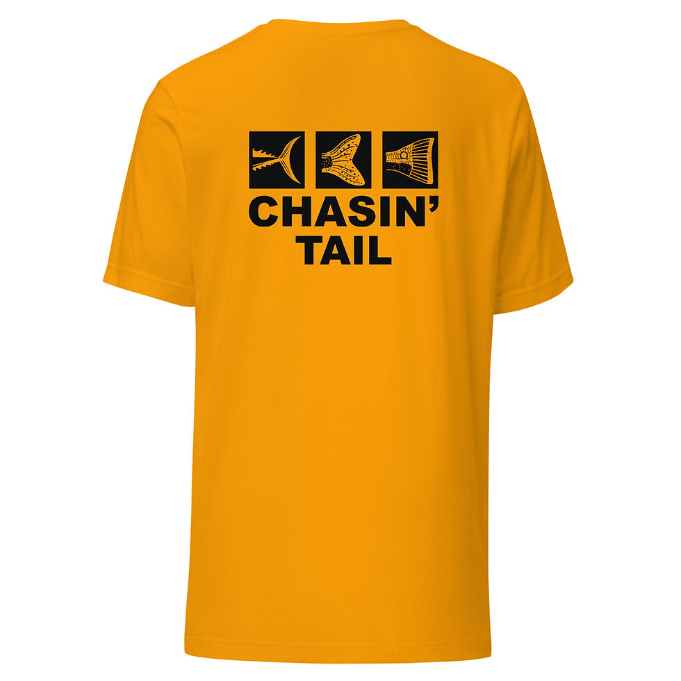 Thumbnail: Chasin' Tail 