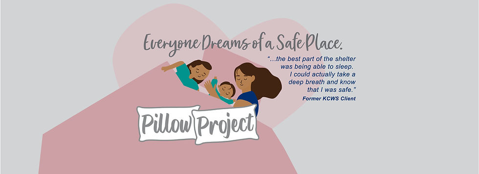Pillow Web Banner-01.jpg
