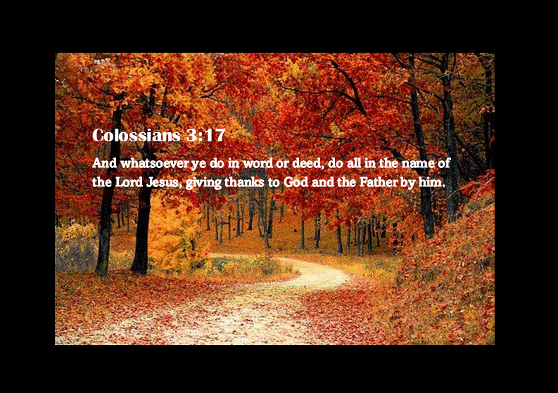 Fall Verse 2.gif