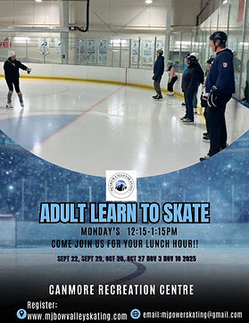 Adult Learn to skate (1).jpg