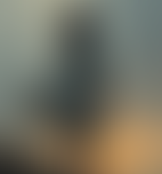 WHEN TIME DID NOT HEEL 