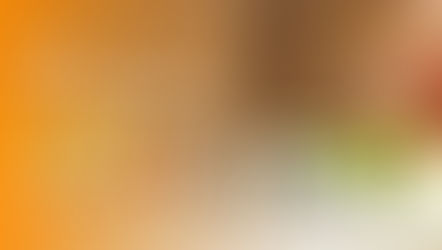 後悔しないWixの選び方。事前に整理しておきたい前提条件