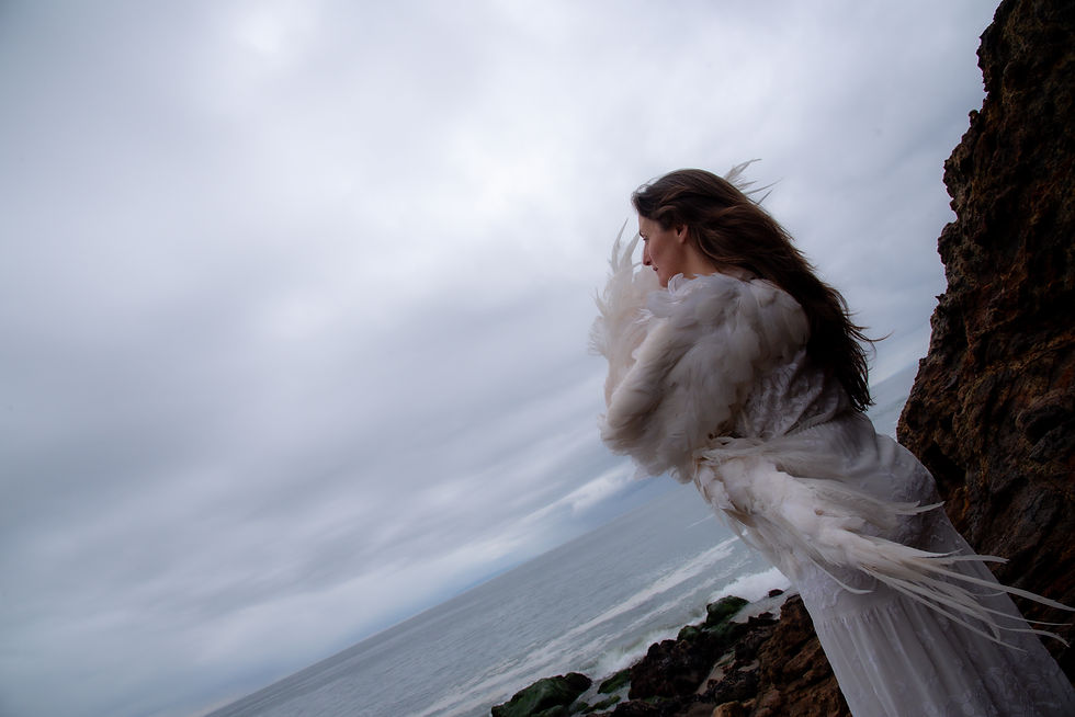 Angelbird_Malibu_10