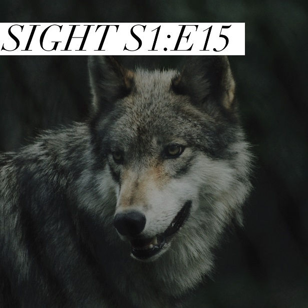 Sight - S1:E15 - Wolf