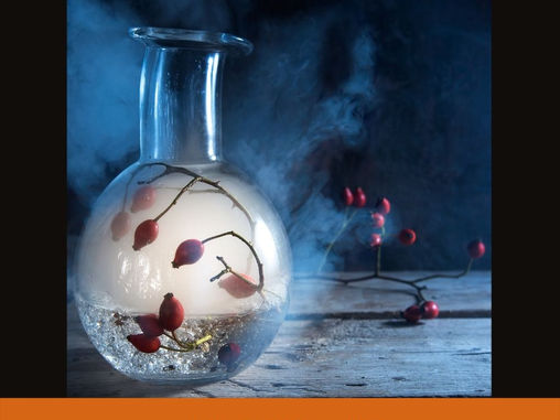 Paranormal News! 26 November, 2021