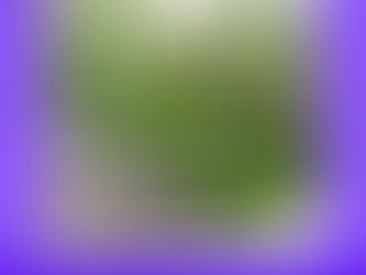 Paranormal News of the Week! 14 April, 2022