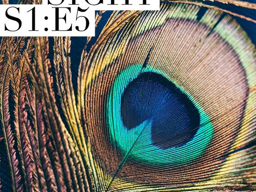 Sight - S1 : E5