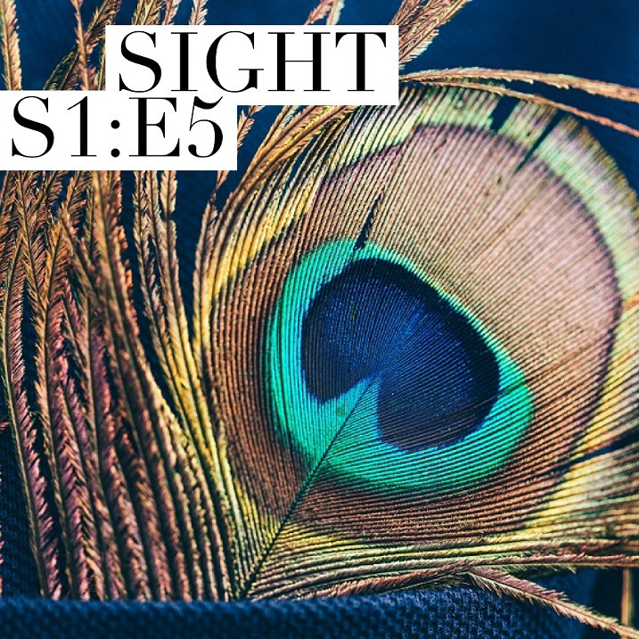 Sight - S1:E5 Peacock feather in breast pocket