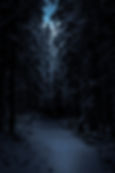 Eyes in the dark staring down a winter forest path. From the Perfectly Proper Paranormal Museum.
